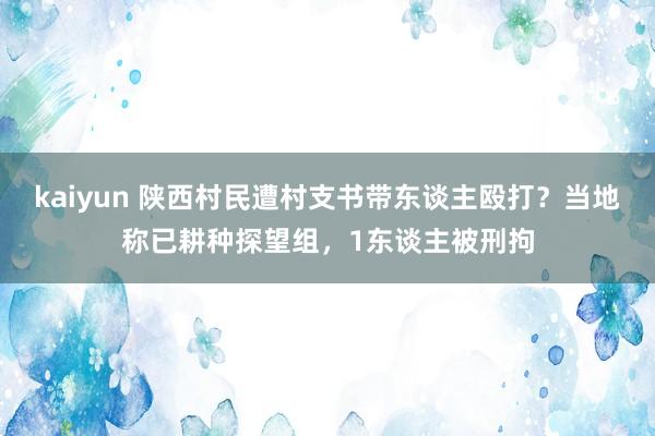 kaiyun 陕西村民遭村支书带东谈主殴打？当地称已耕种探望组，1东谈主被刑拘