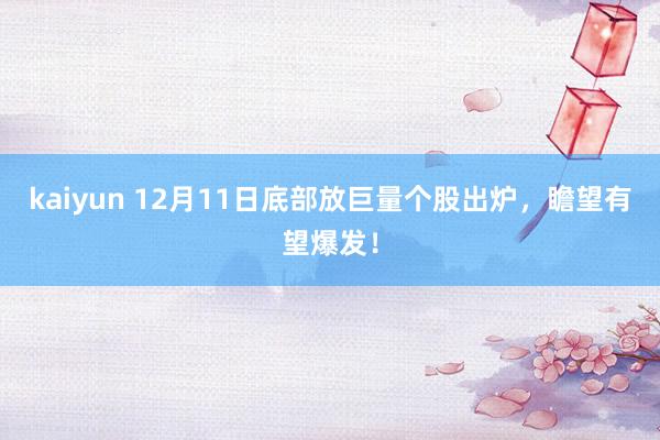 kaiyun 12月11日底部放巨量个股出炉，瞻望有望爆发！