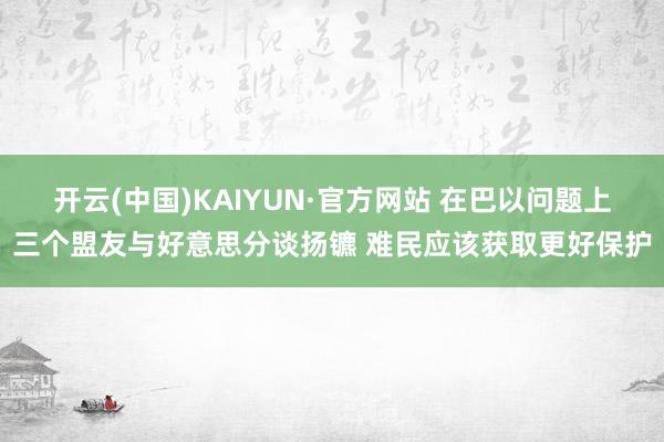 开云(中国)KAIYUN·官方网站 在巴以问题上三个盟友与好意思分谈扬镳 难民应该获取更好保护