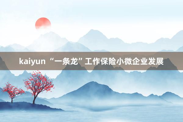 kaiyun “一条龙”工作保险小微企业发展