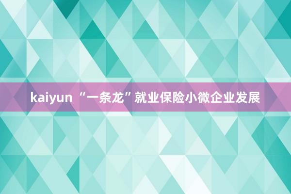 kaiyun “一条龙”就业保险小微企业发展