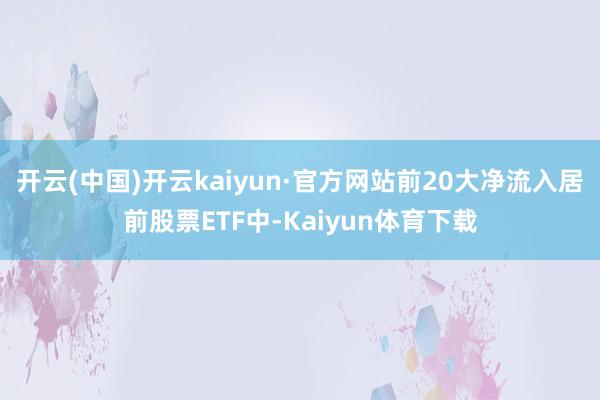 开云(中国)开云kaiyun·官方网站前20大净流入居前股票ETF中-Kaiyun体育下载