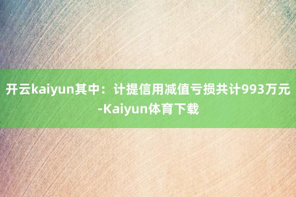 开云kaiyun其中：计提信用减值亏损共计993万元-Kaiyun体育下载